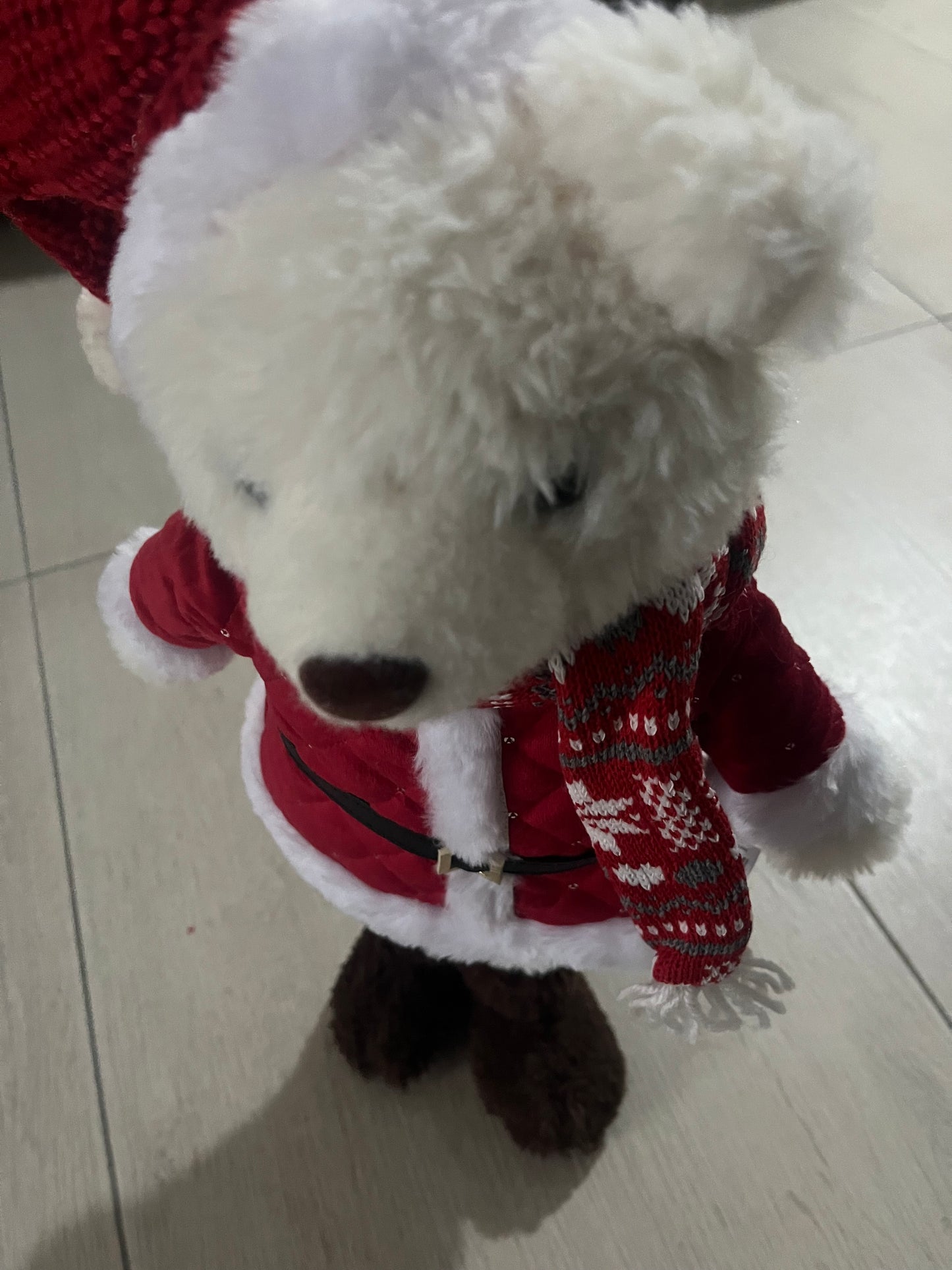 Orsacchiotto di peluche